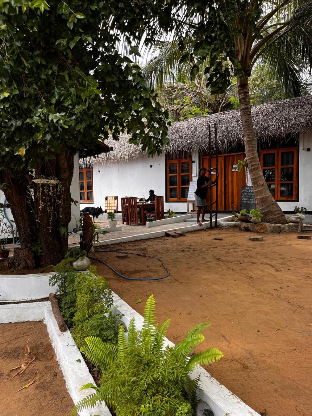 Surfing Lion Hostel Аругам Экстерьер фото