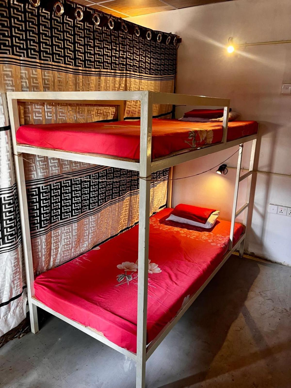 Surfing Lion Hostel Аругам Экстерьер фото