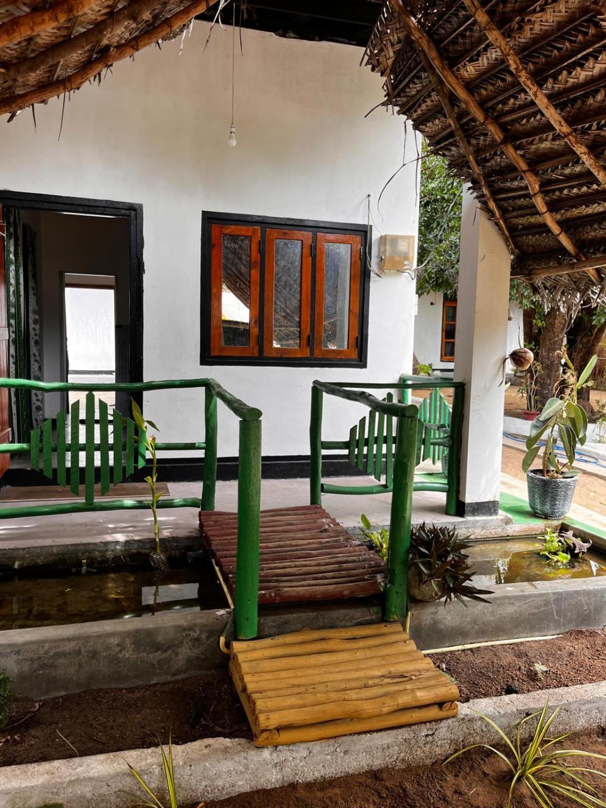 Surfing Lion Hostel Аругам Экстерьер фото